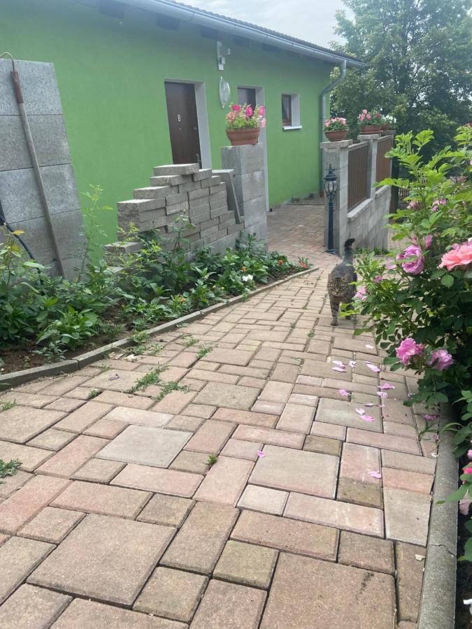 Guest house U Pavla 3*